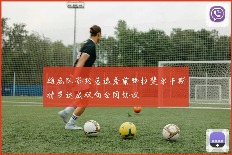 雄鹿队签约落选秀前锋拉斐尔卡斯特罗达成双向合同协议