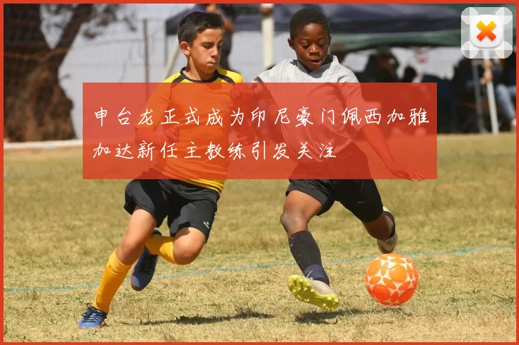 申台龙正式成为印尼豪门佩西加雅加达新任主教练引发关注